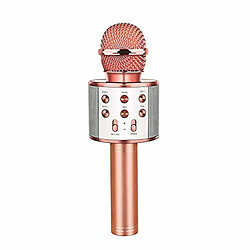 Microphone Shop Story