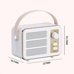 Acheter Yonis Mini Enceinte Bluetooth Rose Retro HIFI Portable Son Stéréo Haute Fidélité