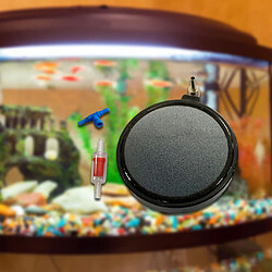 Avis Air pierres pour aquariums fish tank air diffuseur