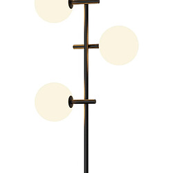 Acheter Inspired Lampadaire de cave 4 lumières, DEL 5W remplaçables, 4000K, noir