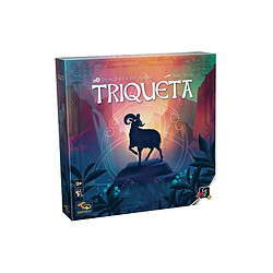 Jeu de stratégie Gigamic Triqueta 