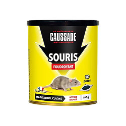 CAUSSADE Boîte 10 pâtes appât pret a l'emploi - Pour souris - 100 g