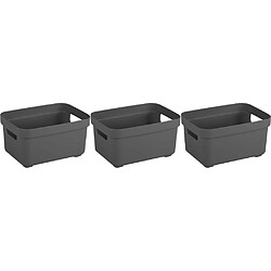 Sunware Boite de rangement Sigma home Box 2.5 L (Lot de 3) anthracite.