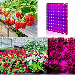 LED élèvent Des Lampes De Croissance De Panneau Bleu Rouge Pour Les Plantes 169 LED