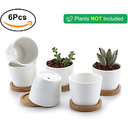 Acheter BESTA Lot de 6 pots succulents en céramique blanche avec plateau en bambou de 6,5 cm