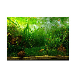 Fond d'Aquarium Vivid, Adhésif Affiche Fish Tank Wall Decor Sticker Waterweeds M affiche de paysage aquarium