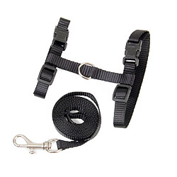 Avis Chat Chaton Réglable Harnais Ceinture Collar + Laisse Corde de Sécurité en Nylon