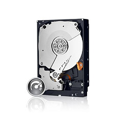 Western Digital WD BLACK 500 Go - Noir Disque Dur 500 Go - Noir