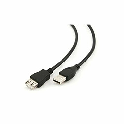 Câble Rallonge à Double USB 3GO C109 Noir 2 m 