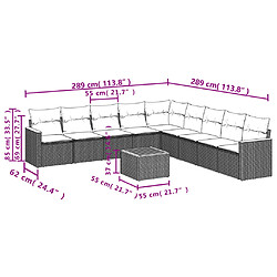 Avis vidaXL Salon de jardin 10 pcs avec coussins noir résine tressée