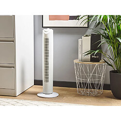 Acheter VENTILATEUR TOUR BLANC VENTILATEUR COLONNE - 3 VITESSES - OSCILLATION - SILENCIEUX - 45 W+Argon