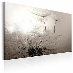 Paris Prix Tableau Imprimé Beautiful Summer : Dandelions 60 x 90 cm