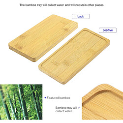 Acheter BESTA Lot de 6 plateaux en bambou, soucoupes rectangulaires, support de pot de fleurs, plateau de service en bois, dessous de verre, support de papier