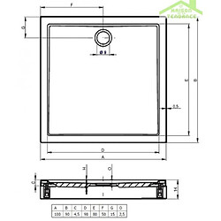 Acheter Receveur de douche acrylique rectangulaire RIHO DAVOS 253 100x90x4,5 cm, avec pieds et tablier