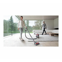 Aspirateur sans sac DYSON BIG BALL PRO 2 ANIMAL pas cher