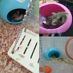 Avis Maison de hamster pour animaux de compagnie