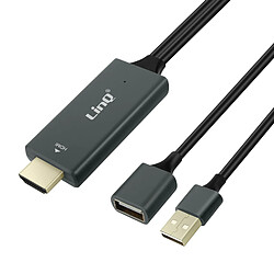 Adaptateur HDMI + 1x Connecteur USB Mâle et 1x port USB Femelle LinQ