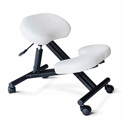 Bodyline - Healt And Massage Chaise orthopédique suédoise en métal siège ergonomique Balancesteel, Couleur: Blanc