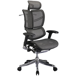 Decoshop26 Fauteuil de bureau ergonomique soutien lombaire appui-tête réglable aluminium plastique en maille gris 10_0002559 