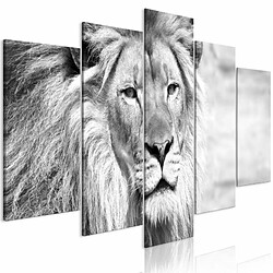 Paris Prix Tableau 5 Panneaux The King of Beasts Wide Black & White 50 x 100 cm 