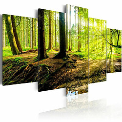 Paris Prix Tableau Imprimé Poetry of a Forest 100 x 200 cm 