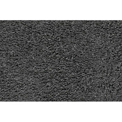 But Tapis 200x290 cm SIENA Anthracite