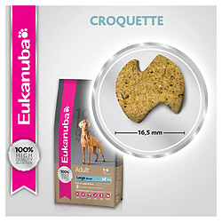 Croquettes pour chien