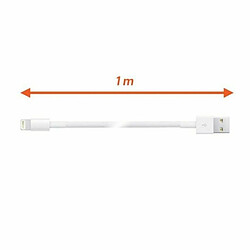 Câble USB vers Lightning PcCom 1 m