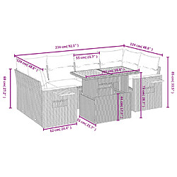 Avis vidaXL Salon de jardin avec coussins 7 pcs beige résine tressée