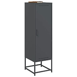 Avis vidaXL Buffet haut anthracite 36x39x123 cm acier