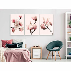 Paris Prix Tableau Imprimé Spring Magnolias 3 Panneaux 60x120cm