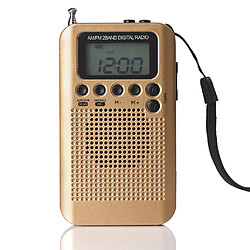 suis fm radio portable gris