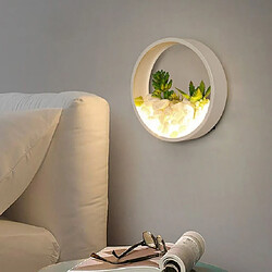 Wewoo Applique murale LED Salon fond mur chambre chevet rond succulente jardin décoratif muraletaille 20 x 5 cm blanc 