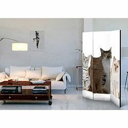 Paris Prix Paravent 3 Volets Sweet Cats 135x172cm