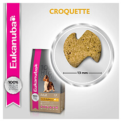 Croquettes pour chien