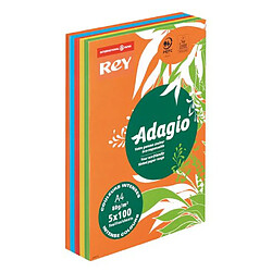 Ramette papier couleur Rey Adagio couleurs intenses assorties A4 80 gr - 5 x 100 feuilles