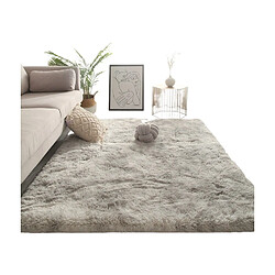 LUUCOZK Tapis à poils longs doux et moelleux pour chambre à coucher et salon - Teinté gris fumé-100x160CM