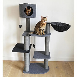 ROSEWOOD Double tour en feutre de charbon de bois - Pour chat