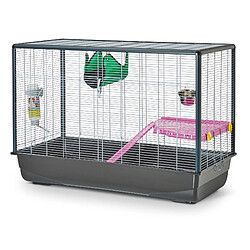 Cage rat Zeno 3