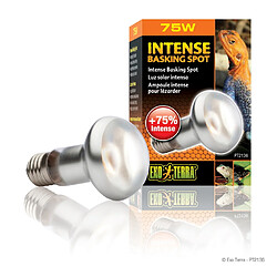 Exoterra Lampe Intense Baskingspot 75W - Exo Terra