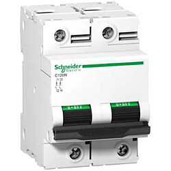 Schneider Electric disjoncteur - schneider c120n - 2 pôles - 125 ampères - courbe c - a9n18363