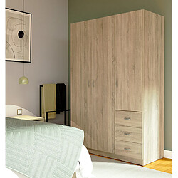 Pegane Armoire placard / meuble de rangement coloris cambrian - Hauteur 180 x Longueur 120 x Profondeur 50 cm pas cher