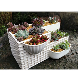 Accueil Jardinière Bureau Pot De Fleur Blanc Rectangulaire Succulent Plant Pot Combo