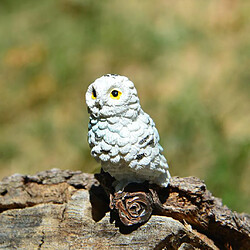 Résine Hibou Jardin De Fées Ornement Miniature Bonsai Terrarium Home Deco Blanc B pas cher