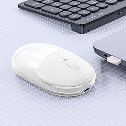 Avis LinQ Souris Sans fil Optique Bluetooth ou WiFi 2.4 GHz LED RGB Dongle USB Blanc