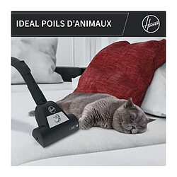 Acheter Aspirateur Traineau Sans Sac - HOOVER - HP320PET - 850 W - 2 L - 75 dBA - Spécial animaux