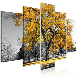 Decoshop26 Tableau toile de décoration murale impression premium en 5 parties sur châssis en bois motif L'automne dans le parc doré 100x50 cm 11_0018131