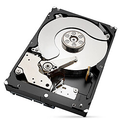 Seagate Technology Ironwolf 6 To - 3.5'' SATA III 6 Go/s - Cache 256 Mo