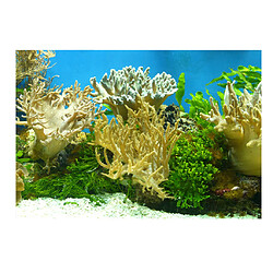 pvc aquarium adhésif arrière-plan autocollant aquarium décor sous-marin herbe s décorations d'aquarium d'aquarium