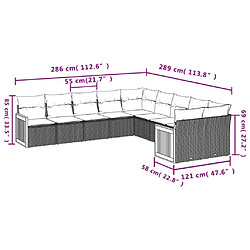 Avis vidaXL Salon de jardin avec coussins 10 pcs gris résine tressée